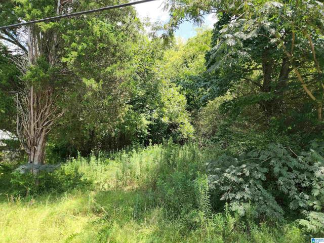 Land for sale in Mulga, Alabama
