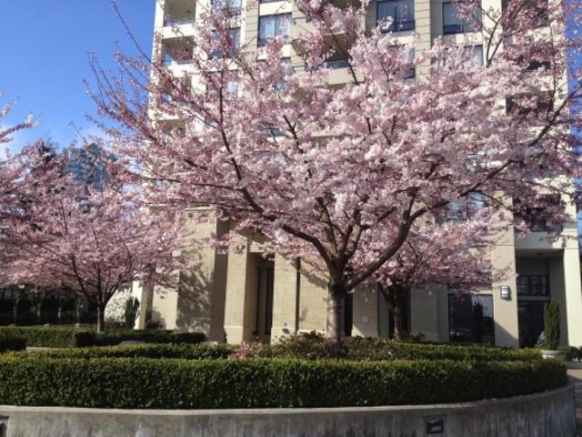 Property for sale in Metrotown, Burnaby