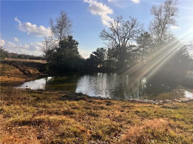 Property for sale in Leon, Texas