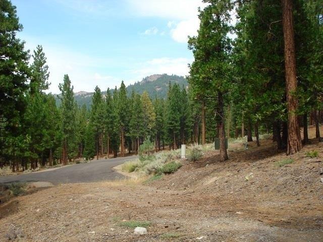 Land for sale in Portola, California