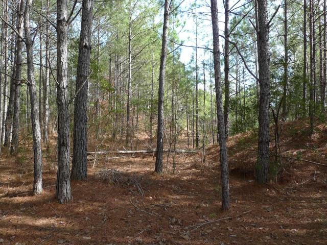 Commercial for sale in Westover, Alabama