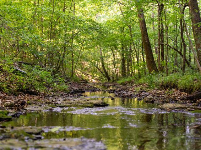 Farm for sale in Tennessee