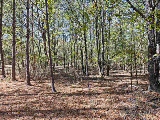 Land for sale in Ark