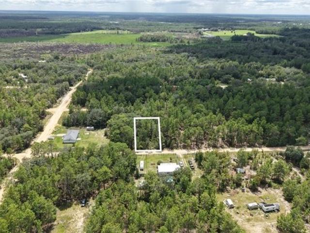 Land for sale in Interlachen, Putnam County