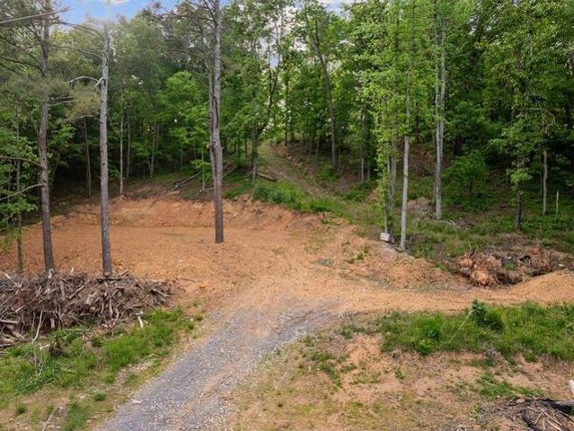 Land for sale in Gordon, Georgia