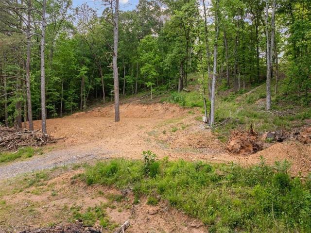 Land for sale in Gordon, Georgia