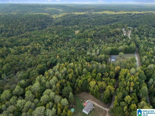 Land for sale in Cordova, Walker County