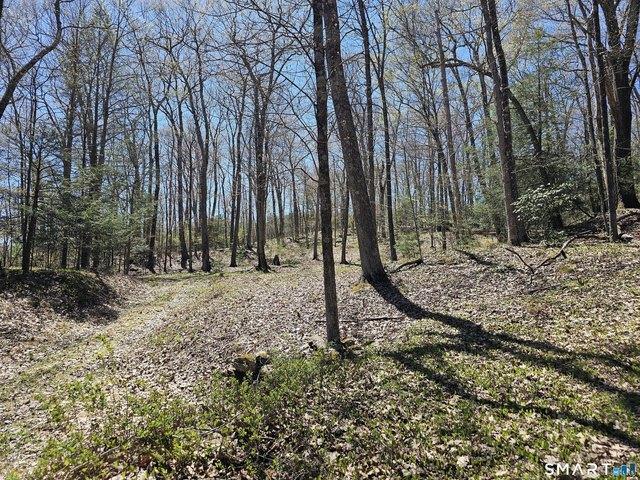 Land for sale in Roxbury, Connecticut