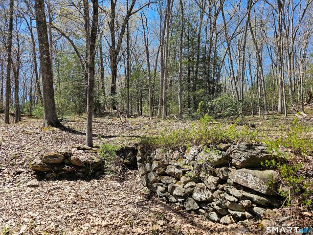 Land for sale in Roxbury, Connecticut