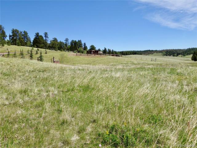 Land for sale in Divide, Teller County
