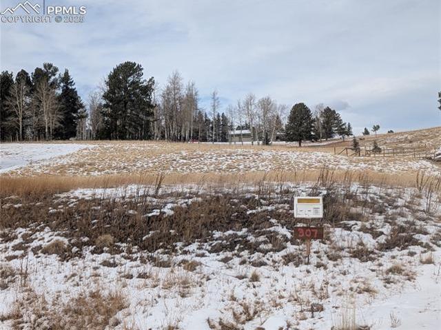 Land for sale in Divide, Teller County