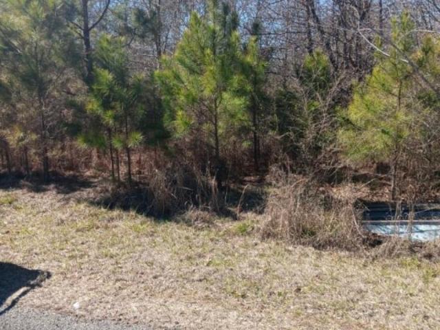 Land for sale in Hamilton, Alabama