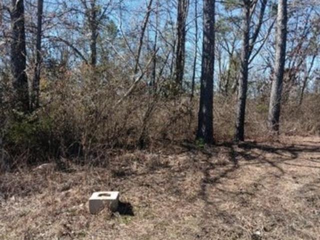 Land for sale in Hamilton, Alabama