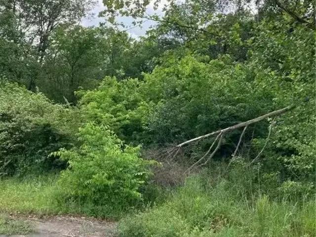 House for rent in Greenwood