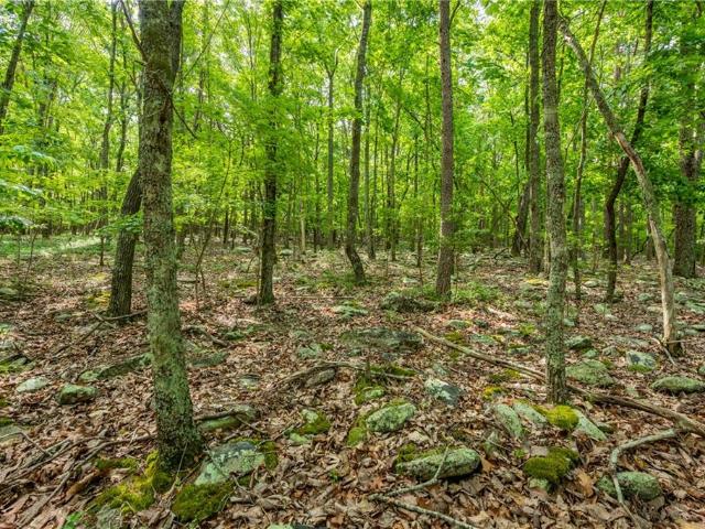 Land for sale in Pickens, Georgia