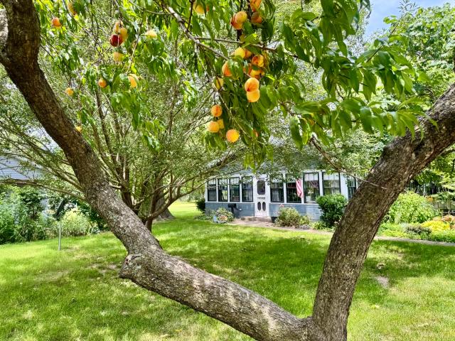 House for sale in Benton, Illinois
