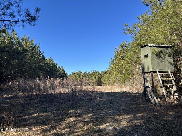 Land for sale in Decatur, Mississippi