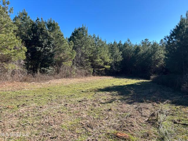 Land for sale in Decatur, Mississippi