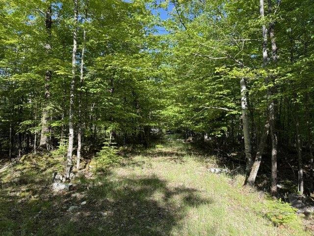 Land for sale in Michigan