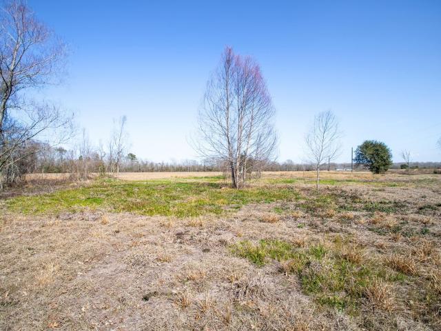 Land for sale in Sour Lake, Texas