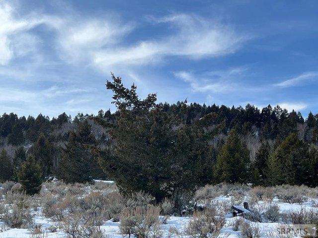 Land for sale in Tetonia, Idaho
