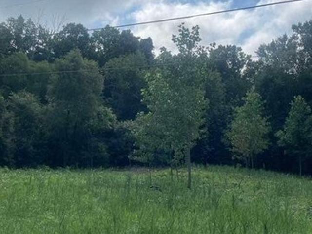 Land for sale in Coloma, Michigan