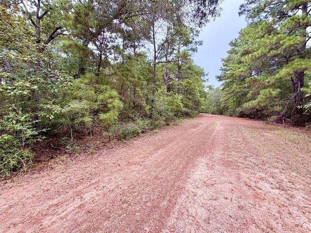 Land for sale in Hempstead, Waller County