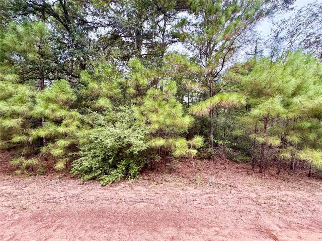 Land for sale in Hempstead, Waller County