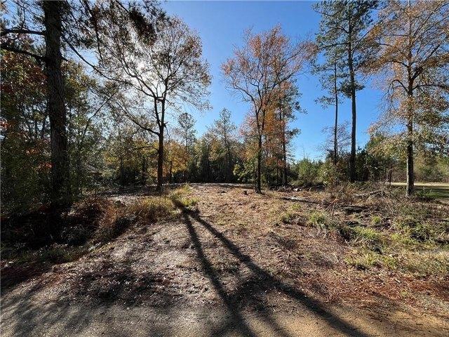 Land for sale in Independence, Louisiana
