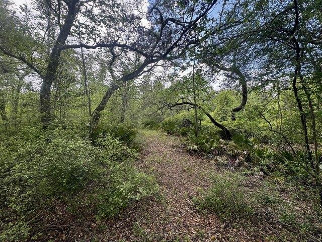 Land for sale in Lee, Florida
