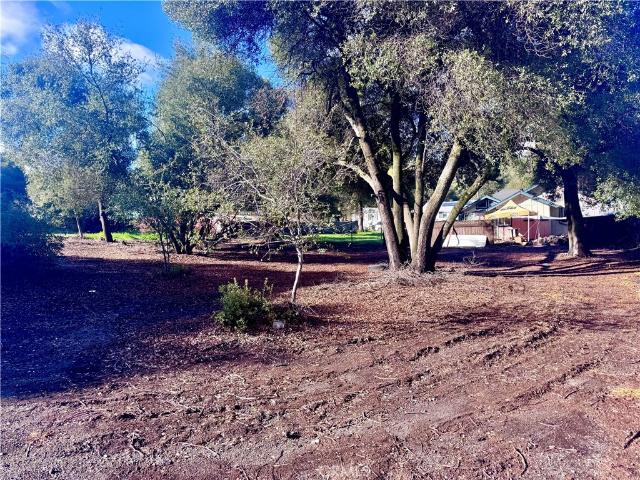 Land for sale in Lake, California