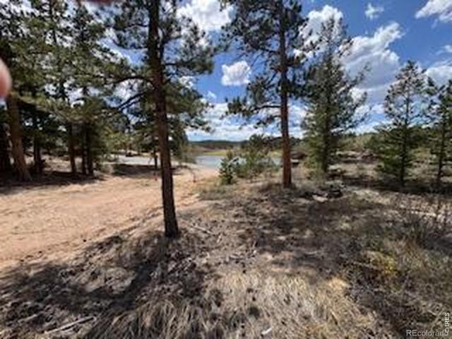Land for sale in Red Feather Lakes, Colorado