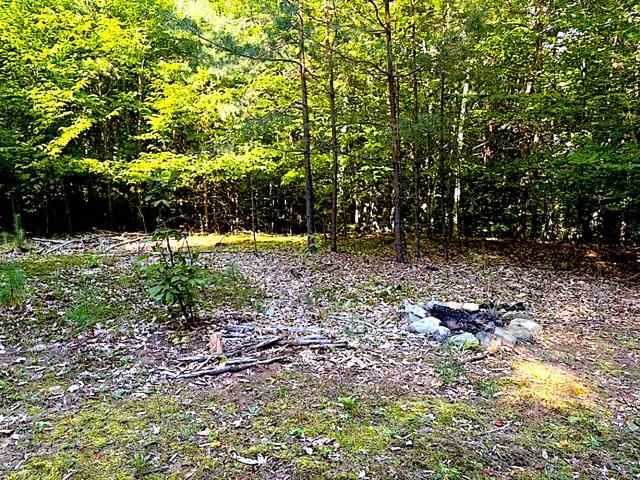 Land for sale in Benzonia Township, Benzie County