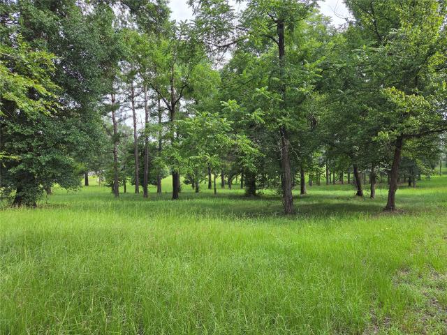 House for sale in Village Mills, Texas