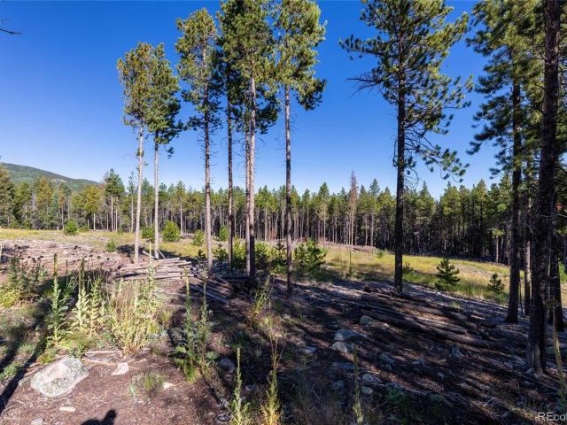 Land for sale in Conifer, Colorado