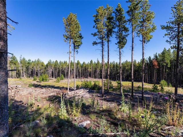 Property for sale in Conifer, Colorado