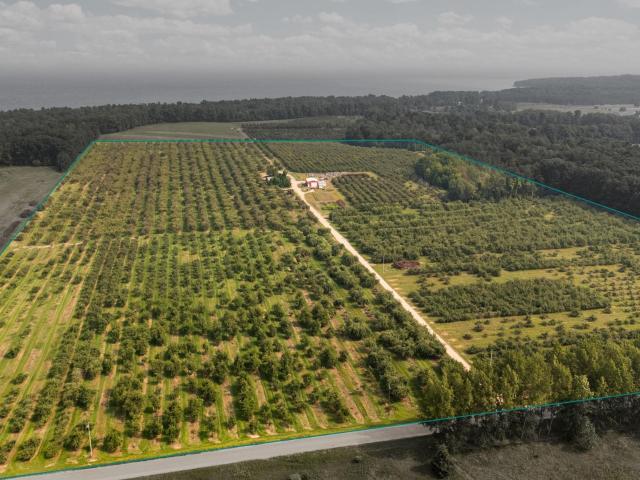 Land for sale in Michigan
