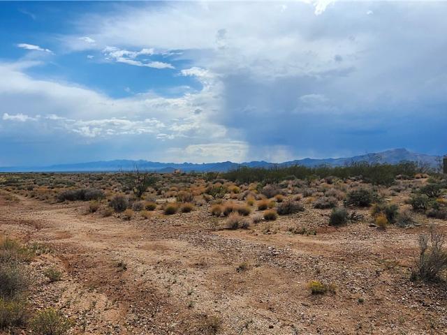 Land for sale in Chloride, Arizona