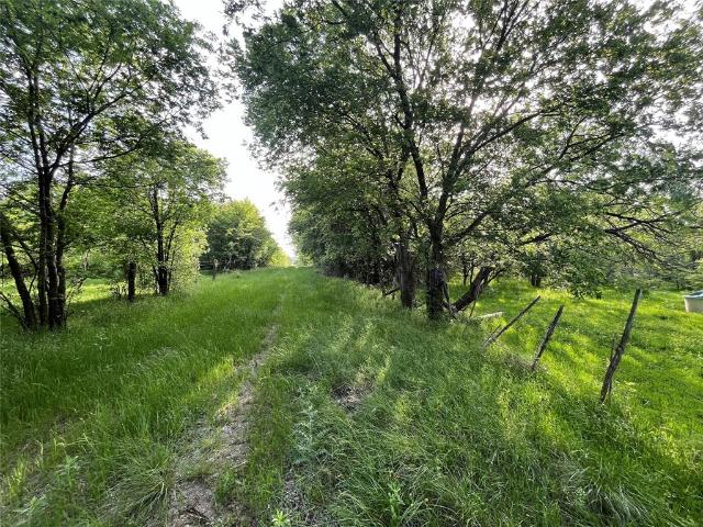 Land for sale in Limestone, Texas