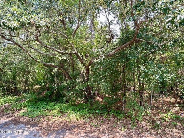 Land for sale in Wilmington, New Hanover County