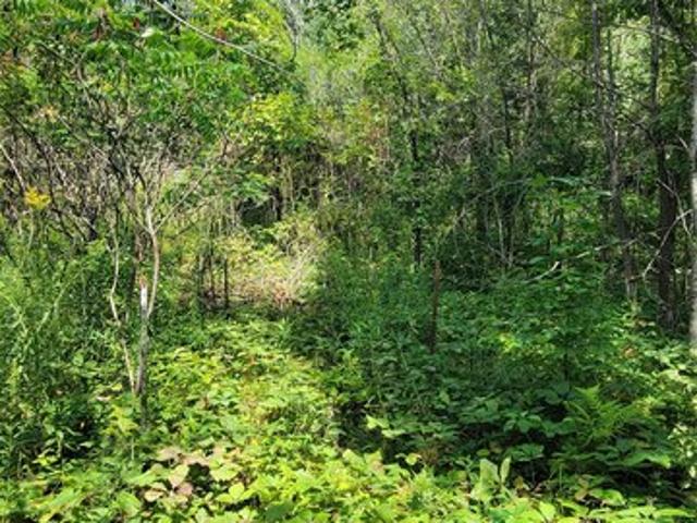 Land for sale in Wisconsin