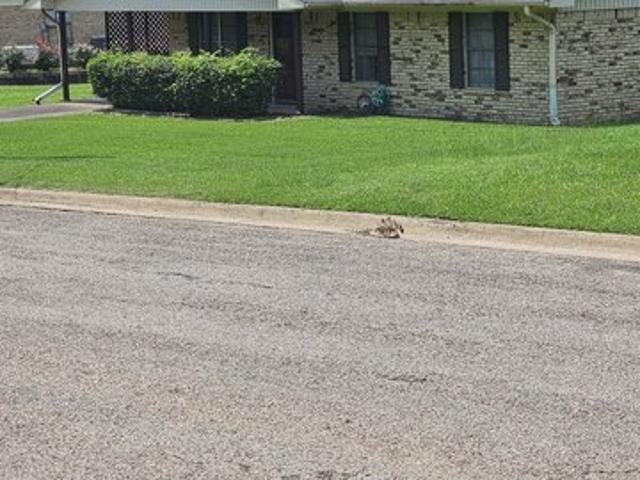 House for sale in Panola, Texas