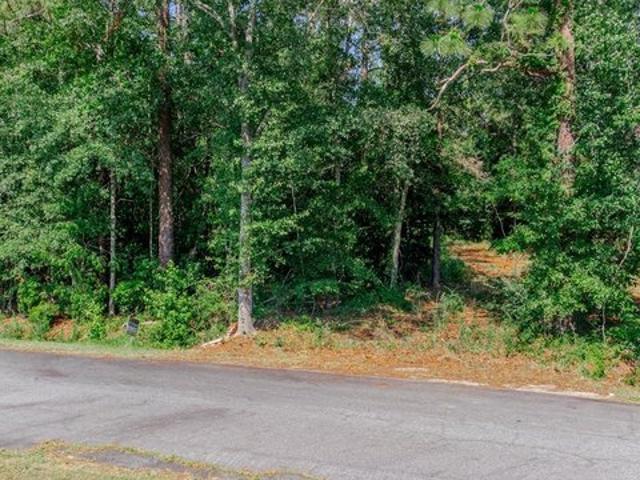 Land for sale in Worth, Georgia