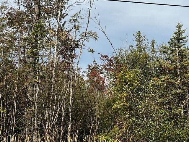 Land for sale in Alpena, Alpena County