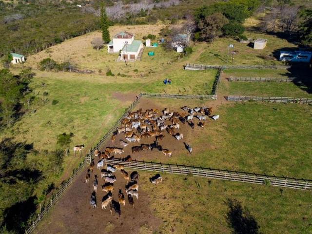 Farm for sale in Frankfort, Free State