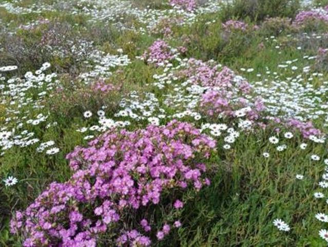 Land for sale in Western Cape