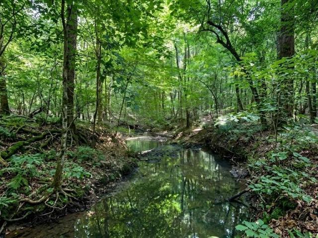 Land for sale in Newborn, Georgia