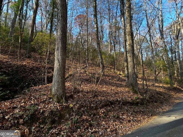 Land for sale in Georgia