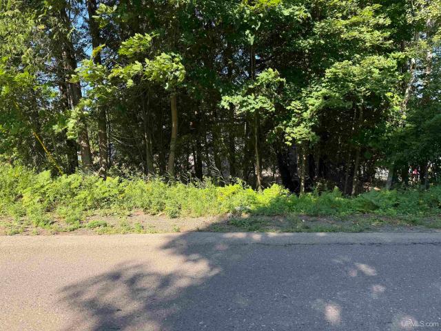 Land for sale in Houghton, Michigan