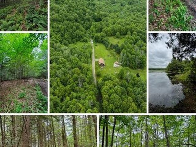 Land for sale in Chenango Bridge, New York